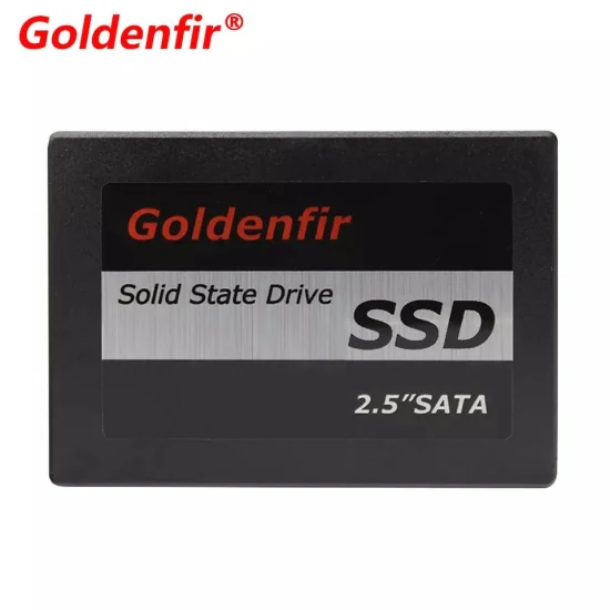 Goldenfir SSD 120GB Disco de estado sólido HDD 2,5