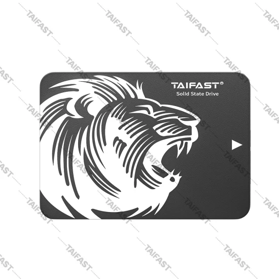 Taifast Hotsale SSD portátil 120 GB 240 GB 480 GB M. 2 Ngff Solid State Drive para PC Laptop 5% de desconto